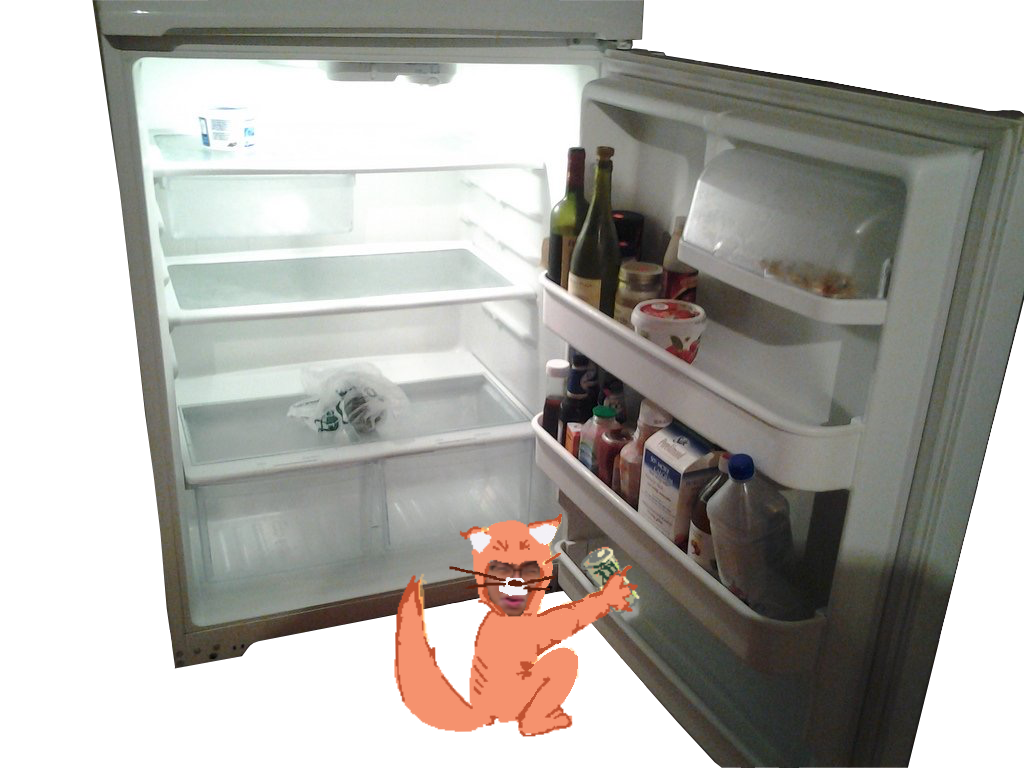 manfox by the fridge